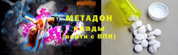 прущие грибы Корсаков