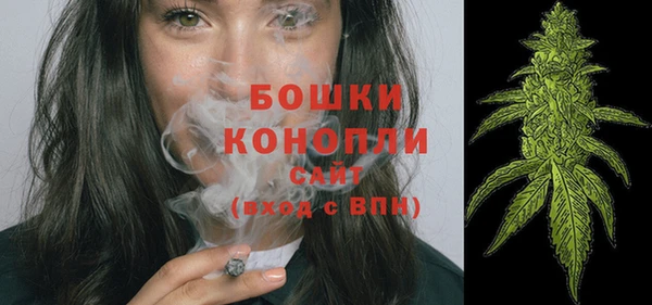 прущие грибы Корсаков