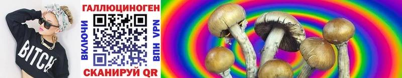 Псилоцибиновые грибы MAGIC MUSHROOMS  Купить закладки  Сердобск 